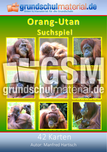 Orang-Utan_Suchspiel.pdf